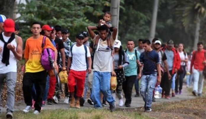 Imigrantes-785x425-1-730x425