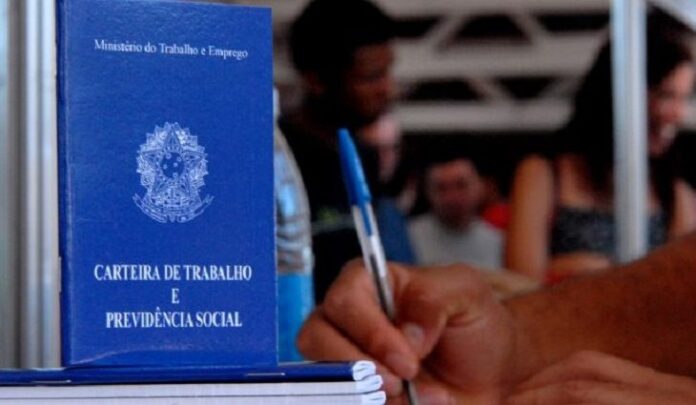 Carteira-de-trabalho-768x425-730x425