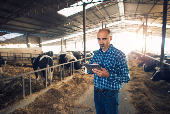 Data Centers no agronegócio devem impulsionar produtores no Brasil