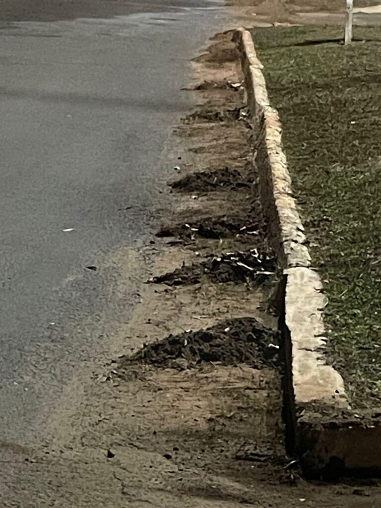 Prefeitura de Iguatemi intensifica serviços de limpeza e manutenção em toda a cidade Prefeitura de Iguatemi intensifica serviços de limpeza e manutenção em toda a cidade