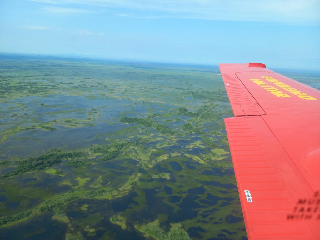 Bombeiros de MS combatem incêndio no Pantanal; cobertura completa aqui Bombeiros de MS combatem incêndio no Pantanal; cobertura completa aqui