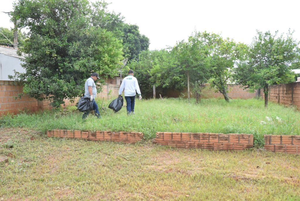Mutirão de combate à dengue em Iguatemi: equipes da Saúde e da Secretaria de Obras se unem na limpeza da cidade Mutirão de combate à dengue em Iguatemi: equipes da Saúde e da Secretaria de Obras se unem na limpeza da cidade