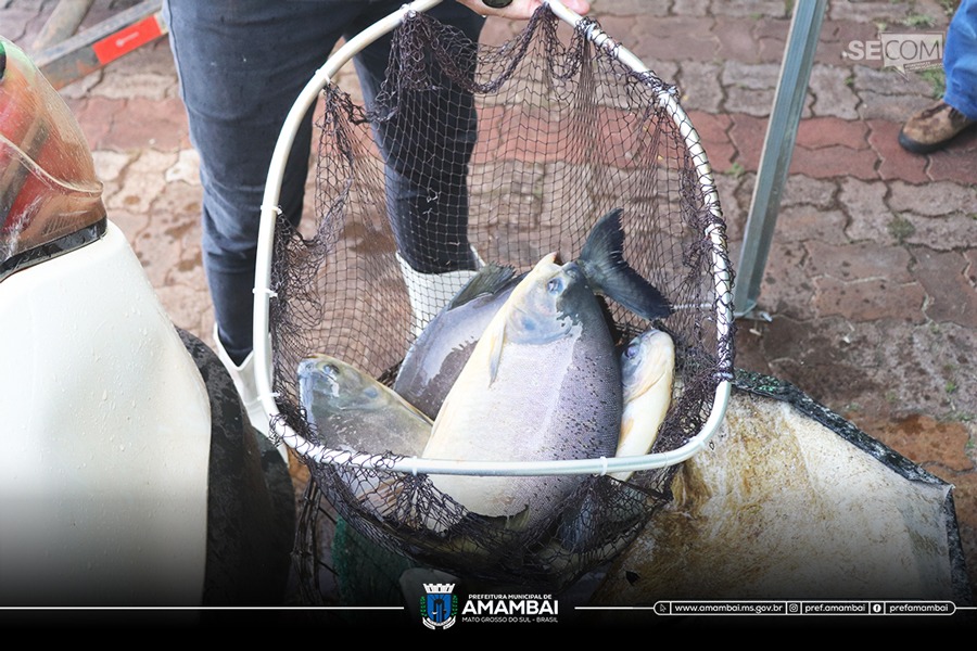 Prefeitura de Amambai e Associação de Piscicultores realizam abertura da 21ª Feira do Peixe Vivo