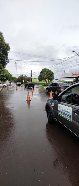 Temporal com vendaval e chuva forte derrubou várias árvores em Amambai