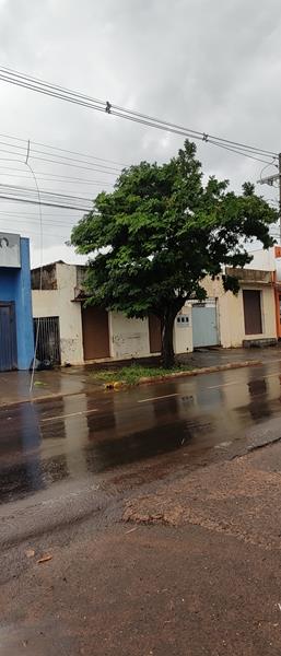 Temporal com vendaval e chuva forte derrubou várias árvores em Amambai