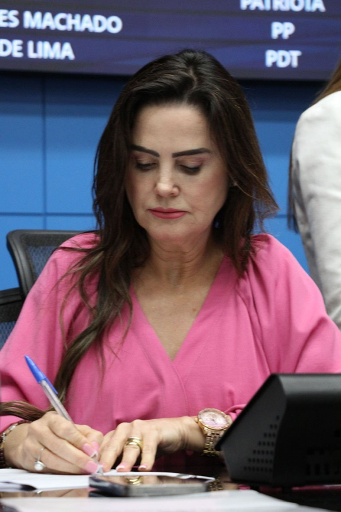 Ordem do Dia: Aprovada criação do Estatuto da Mulher Parlamentar