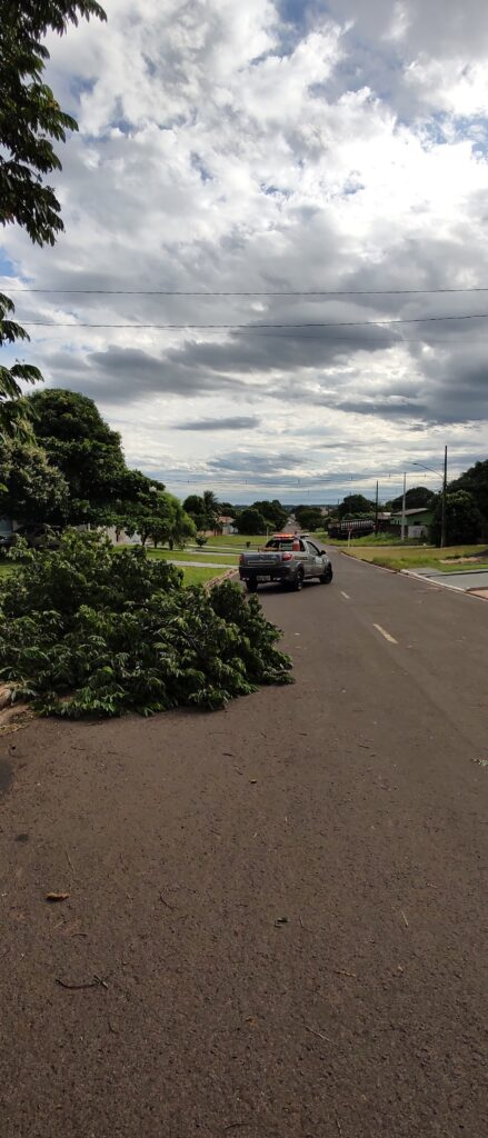 Temporal com vendaval e chuva forte derrubou várias árvores em Amambai