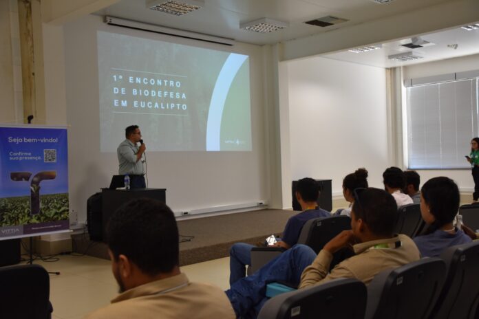 isi-biomassa-evento-reflore (2)