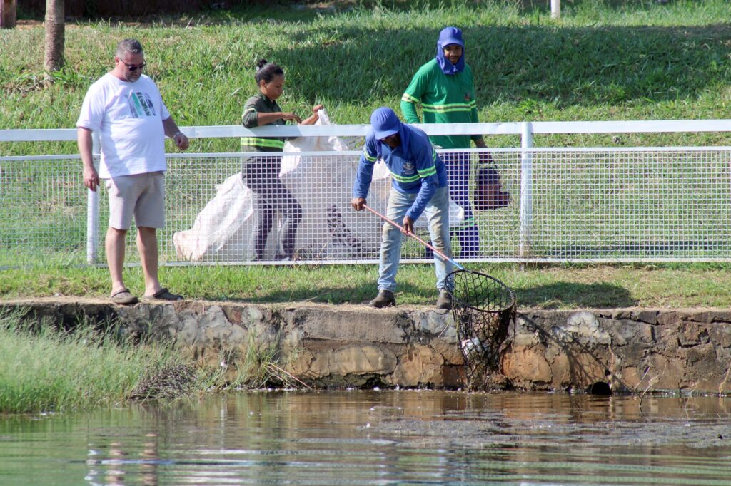 Ação conjunta em Naviraí promove limpeza no lago do Parque Sucupira Ação conjunta em Naviraí promove limpeza no lago do Parque Sucupira