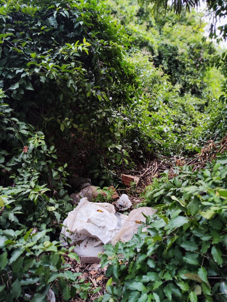 Alerta Ambiental: Lia Nogueira reivindica reparo do alambrado na APA do Lajeado Alerta Ambiental: Lia Nogueira reivindica reparo do alambrado na APA do Lajeado