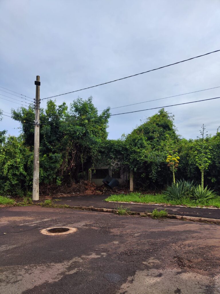 Alerta Ambiental: Lia Nogueira reivindica reparo do alambrado na APA do Lajeado Alerta Ambiental: Lia Nogueira reivindica reparo do alambrado na APA do Lajeado