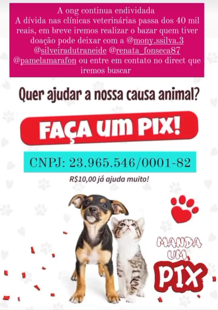 ONG Adote um Campeão de 4 Patas realiza a "Campanha do Agasalho Animal" em Amambai