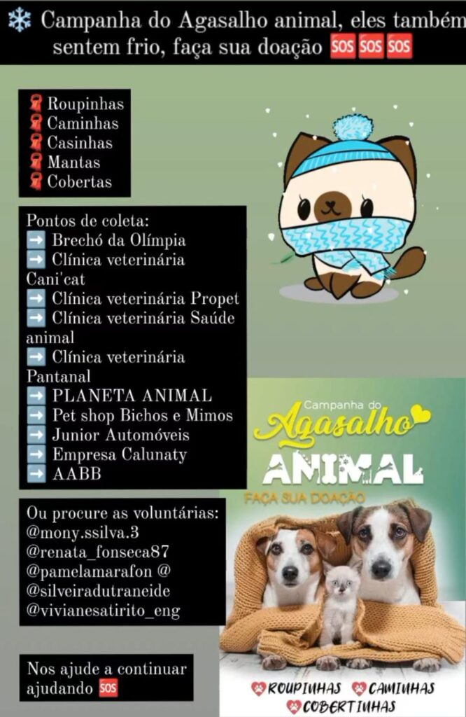 ONG Adote um Campeão de 4 Patas realiza a "Campanha do Agasalho Animal" em Amambai