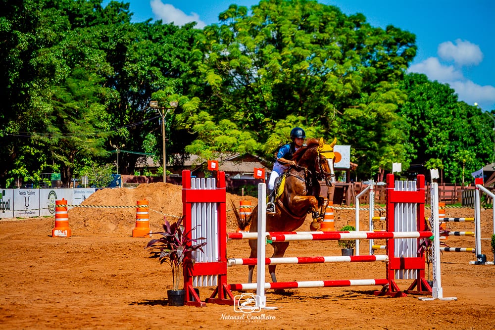 Amazona amambaiense é destaque em competição estadual de hipismo em Maracaju