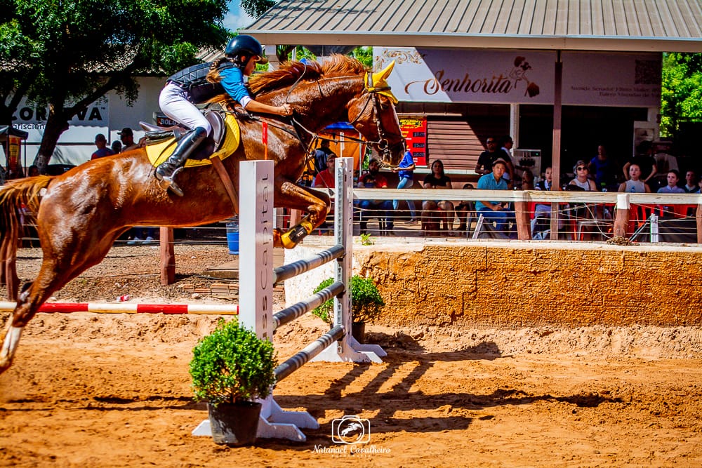 Amazona amambaiense é destaque em competição estadual de hipismo em Maracaju