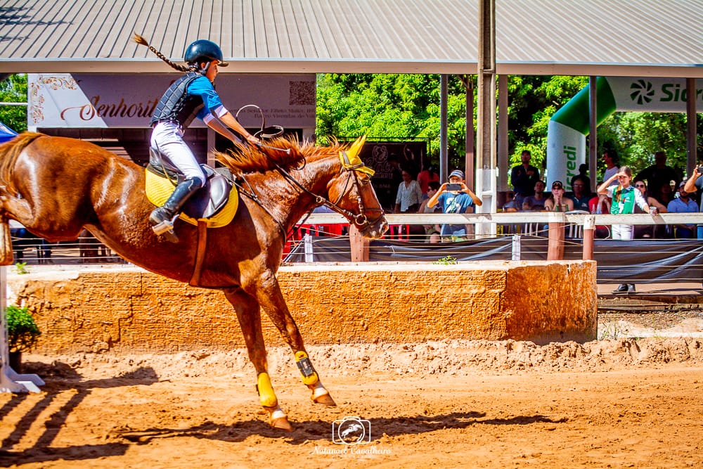 Amazona amambaiense é destaque em competição estadual de hipismo em Maracaju