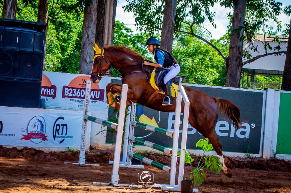 Amazona amambaiense é destaque em competição estadual de hipismo em Maracaju