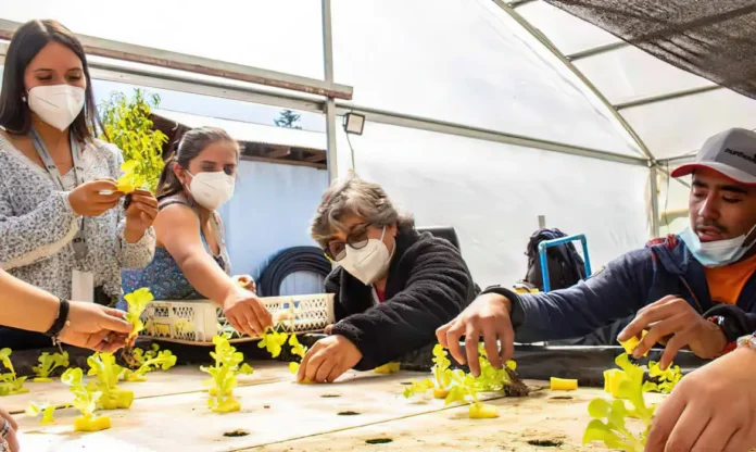 emprendedor-agricola-desarrolla-innovadora-silla-de-ruedas-para-el-trabajo-en-el-campo-1