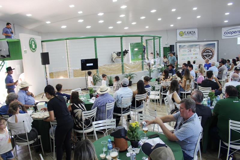 3º Leilão do Sindicato Rural de Amambai e Associados em fotos