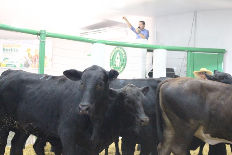 3º Leilão do Sindicato Rural de Amambai e Associados em fotos