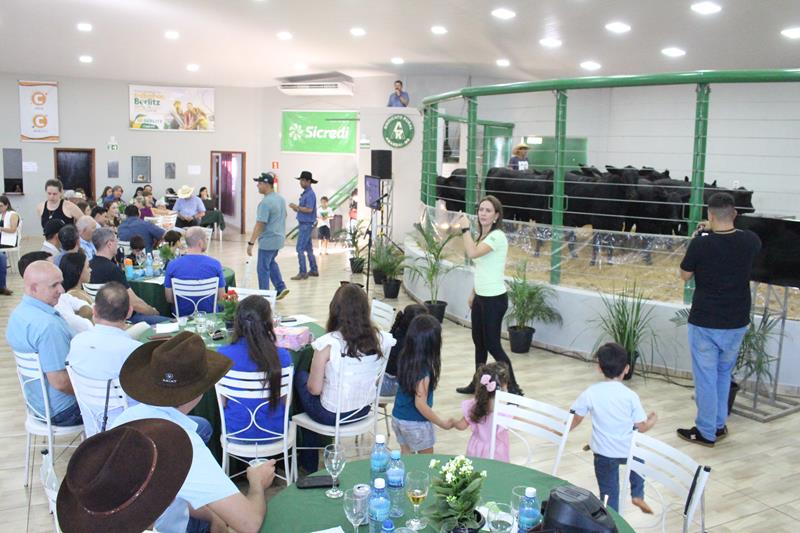 3º Leilão do Sindicato Rural de Amambai e Associados em fotos