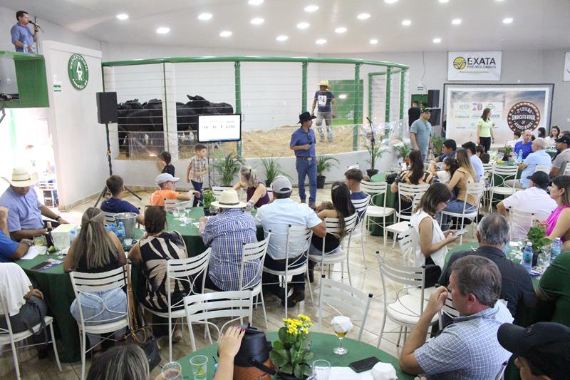 3º Leilão do Sindicato Rural de Amambai e Associados em fotos