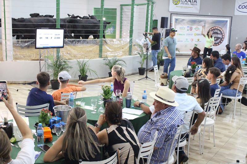 3º Leilão do Sindicato Rural de Amambai e Associados em fotos