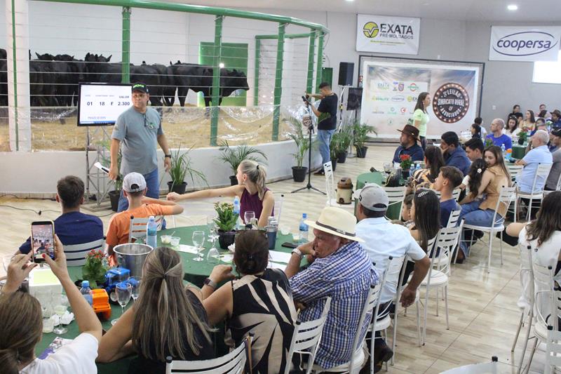 3º Leilão do Sindicato Rural de Amambai e Associados em fotos