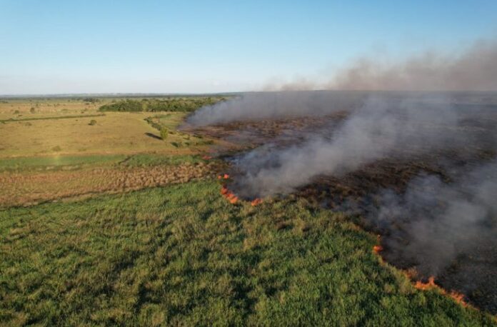 incendio-floresta-BR-487_navirai-8-maio-2024_bombeiros-730x480