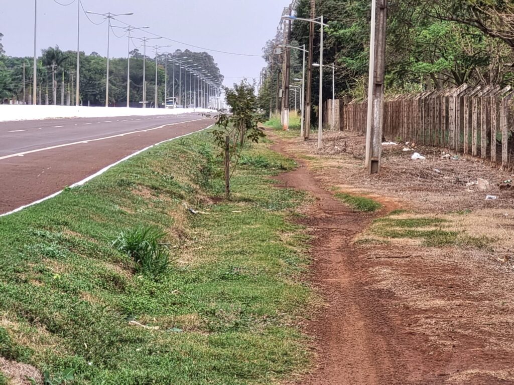 Lia Nogueira solicita manutenção urgente de ciclovia na Avenida Guaicurus, em Dourados Lia Nogueira solicita manutenção urgente de ciclovia na Avenida Guaicurus, em Dourados