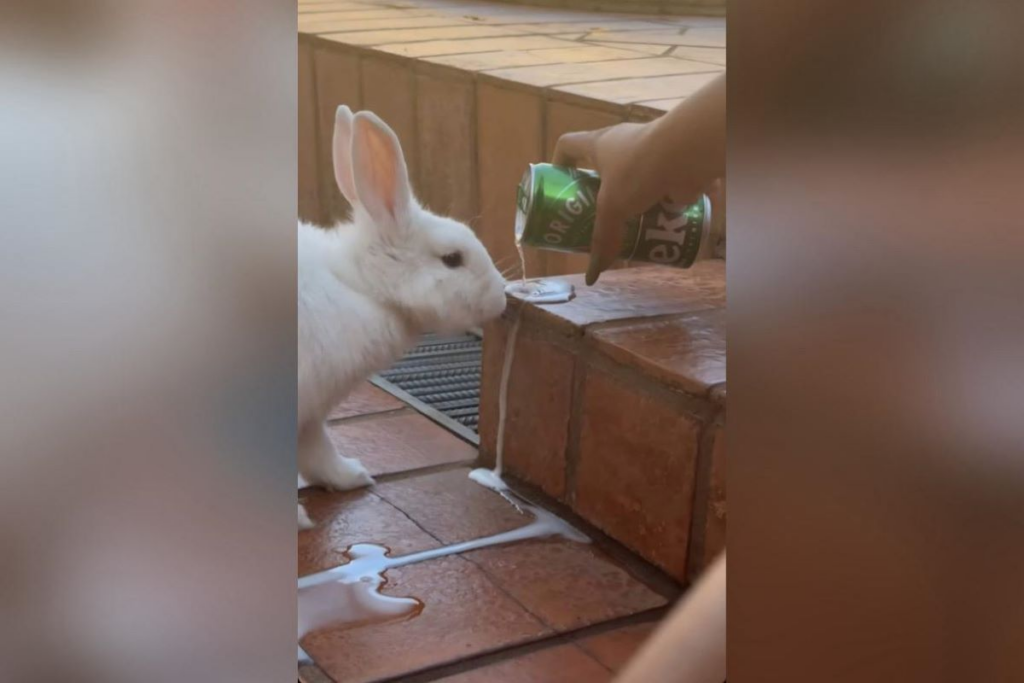Giro pelo Estado: Confira notícias que repercutiram na semana em MS Giro pelo Estado: Confira notícias que repercutiram na semana em MS