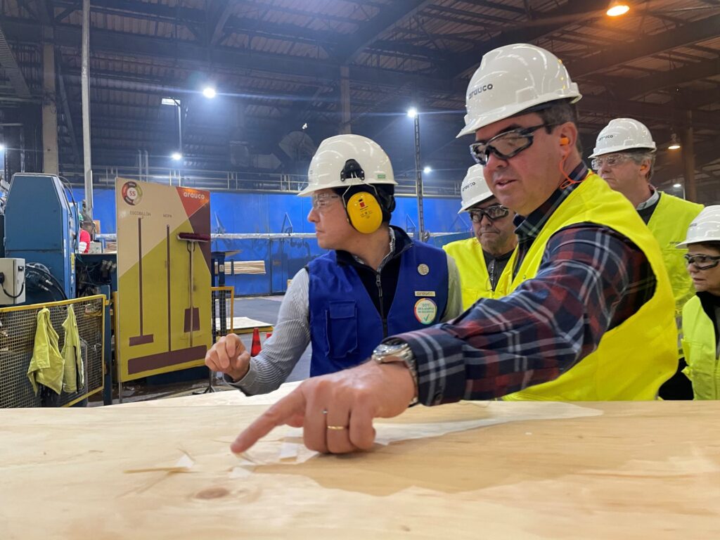 Vale da Celulose: Arauco aprova R$ 25 bi em investimento que garante desenvolvimento em MS Vale da Celulose: Arauco aprova R$ 25 bi em investimento que garante desenvolvimento em MS