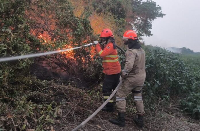 Incendios-Pantanal-2024_Porto-Indio-02_10-de-setembro_CBMMS-730x480