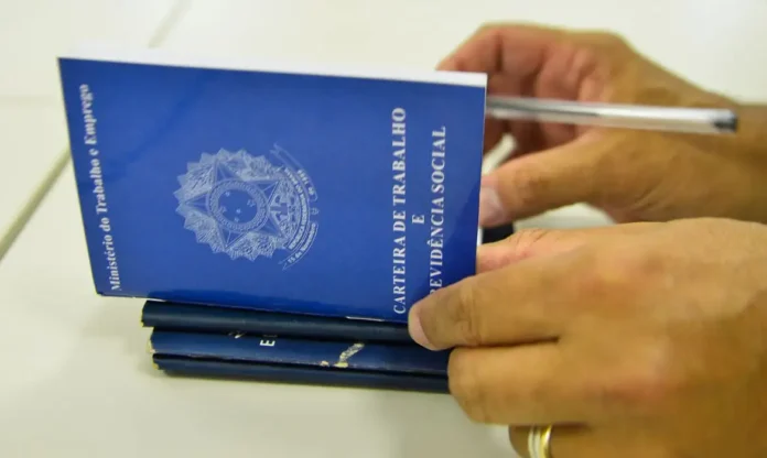 carteira_de_trabalho_e_previdencia_social_ctps (1)