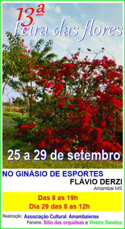As festividades de 76 anos de Amambai já começaram! Confira o que ainda tem por vir As festividades de 76 anos de Amambai já começaram! Confira o que ainda tem por vir