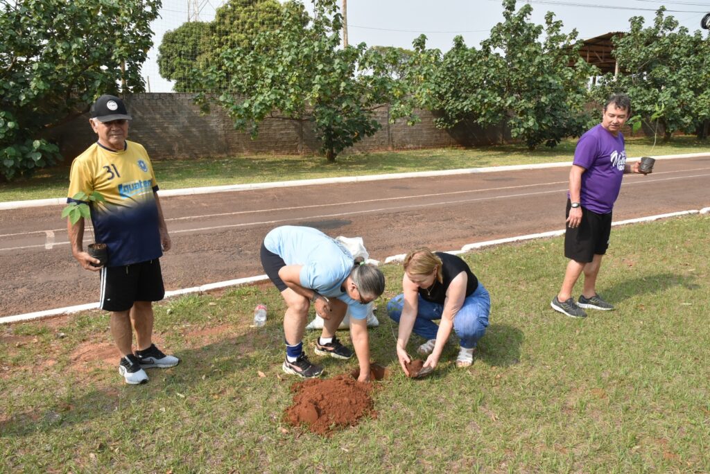 Melhor Idade de Iguatemi participa de plantio de mudas de árvores em comemoração ao Dia Internacional do Idoso Melhor Idade de Iguatemi participa de plantio de mudas de árvores em comemoração ao Dia Internacional do Idoso