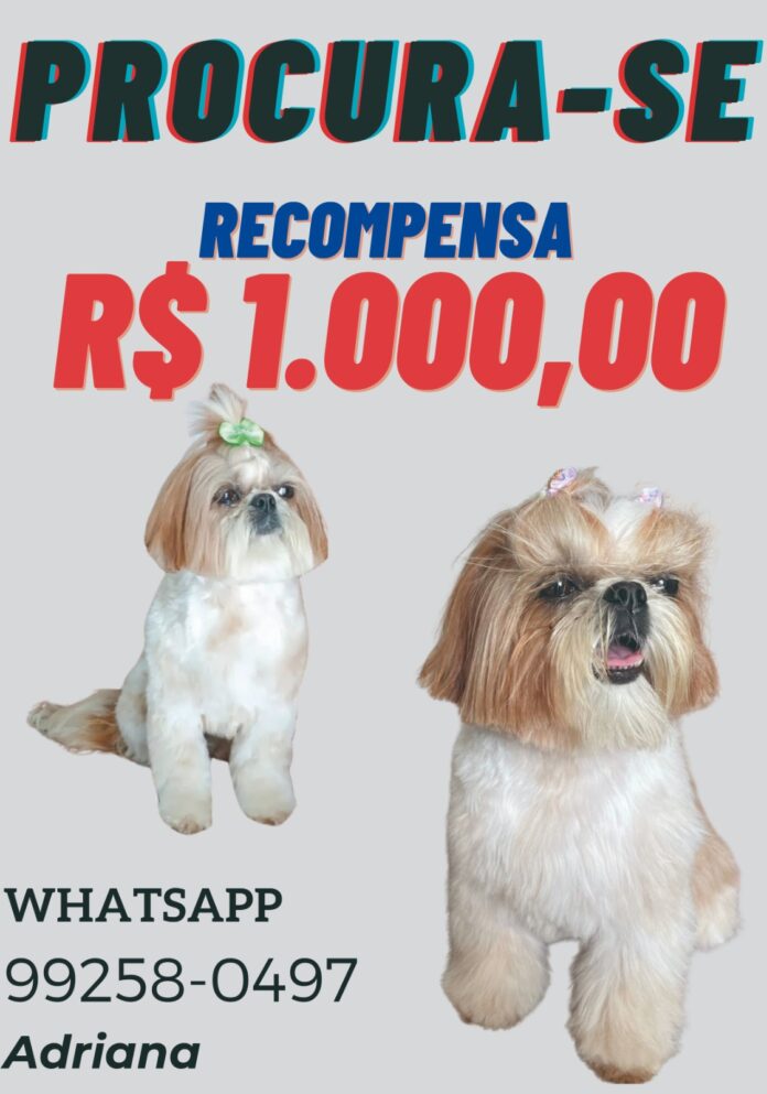 Imagem do WhatsApp de 2024-10-15 à(s) 10.30.46_ebfee9fa