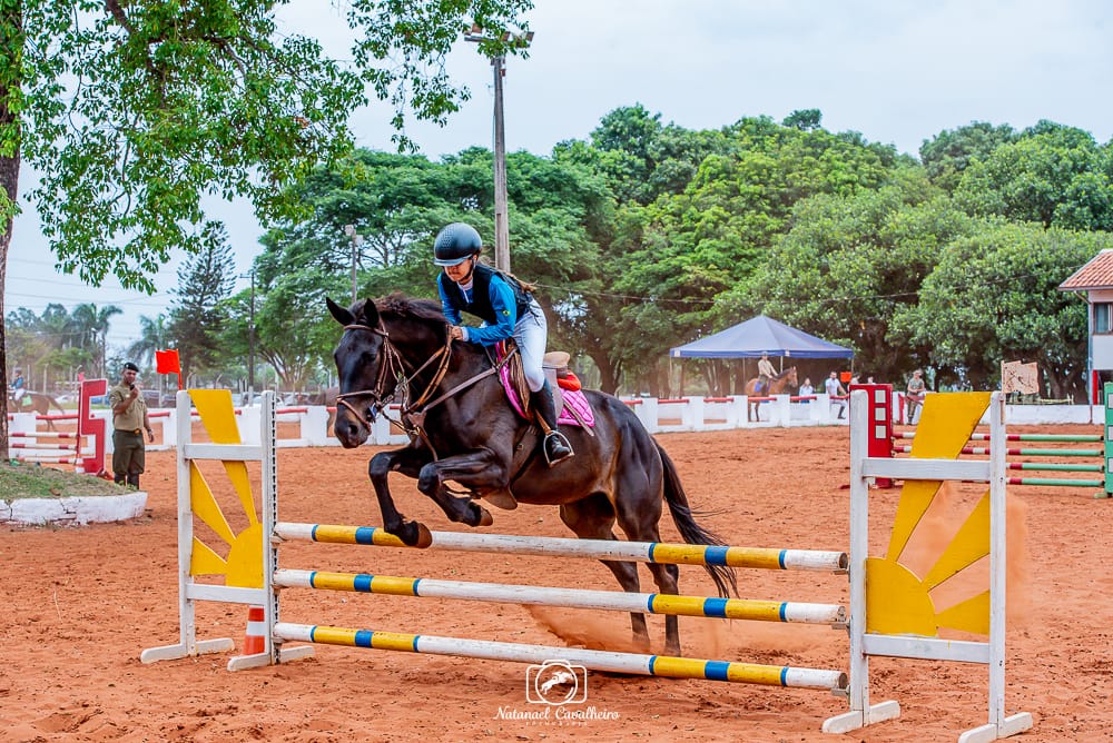 Amazona de Amambai é destaque em competições estaduais em Mato Grosso do Sul Amazona de Amambai é destaque em competições estaduais em Mato Grosso do Sul
