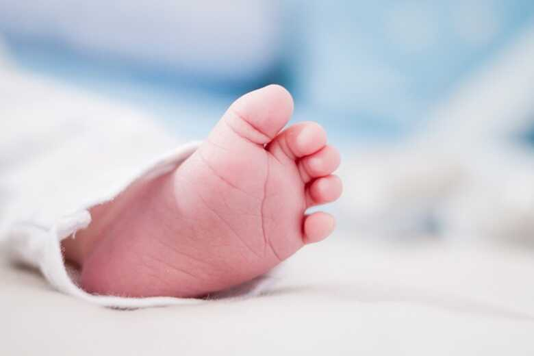 Giro pelo Estado: Confira notícias que repercutiram na semana em MS Giro pelo Estado: Confira notícias que repercutiram na semana em MS