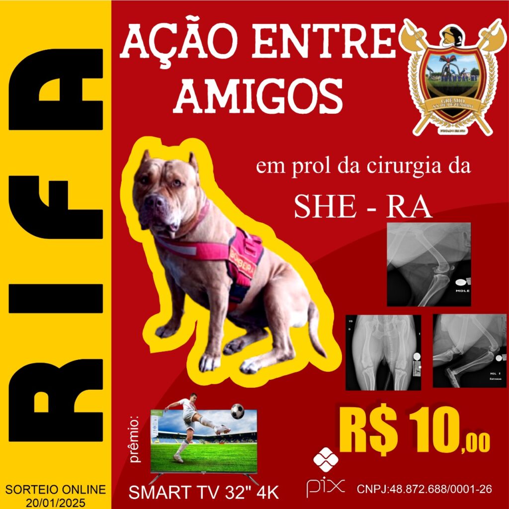Corpo de Bombeiros de Amambai promove rifa para custear cirurgia da cachorra She-Ra Corpo de Bombeiros de Amambai promove rifa para custear cirurgia da cachorra She-Ra