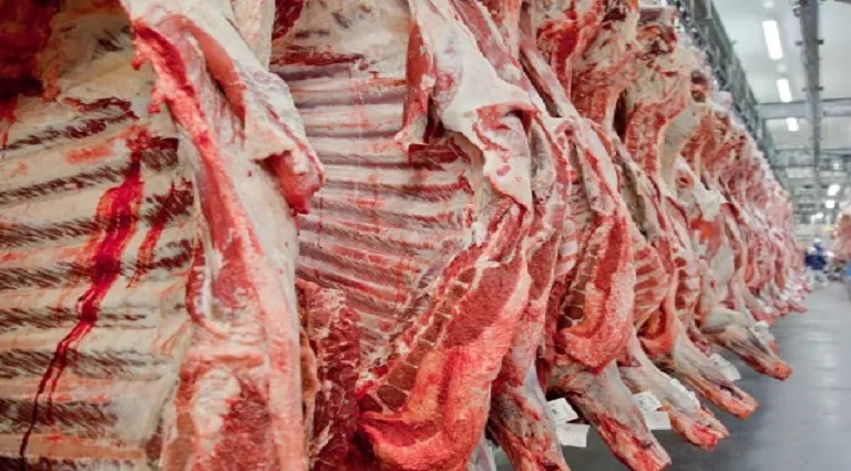 Giro pelo Estado: Confira notícias que repercutiram na semana em MS Giro pelo Estado: Confira notícias que repercutiram na semana em MS
