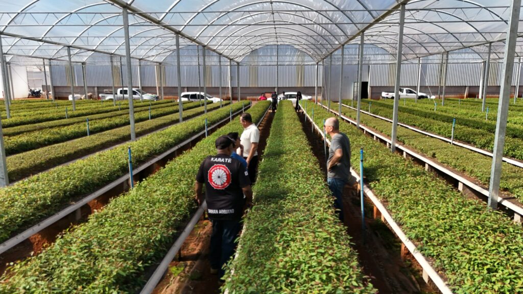 Empresa Ouro Verde em Mundo Novo almeja expansão e gerar mais 100 vagas de emprego Empresa Ouro Verde em Mundo Novo almeja expansão e gerar mais 100 vagas de emprego