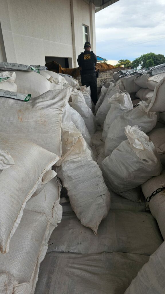Caminhão que seguia para São Paulo com quase uma tonelada de defensivo agrícola ilegal é apreendido pelo DOF em Iguatemi Caminhão que seguia para São Paulo com quase uma tonelada de defensivo agrícola ilegal é apreendido pelo DOF em Iguatemi