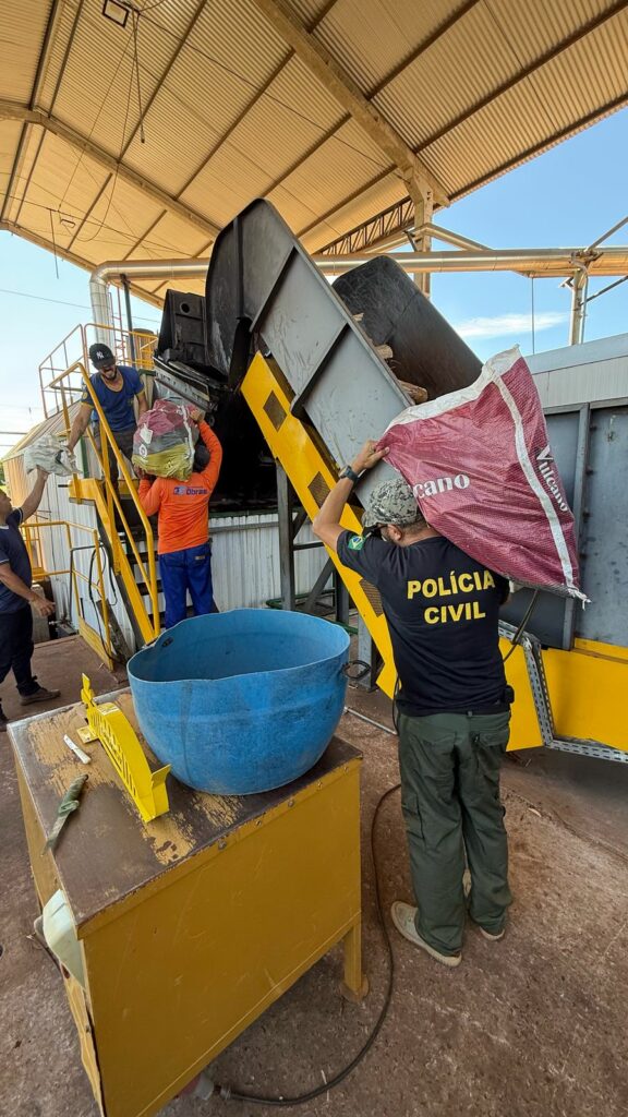 Polícia Civil realiza incineração de entorpecente em Iguatemi Polícia Civil realiza incineração de entorpecente em Iguatemi