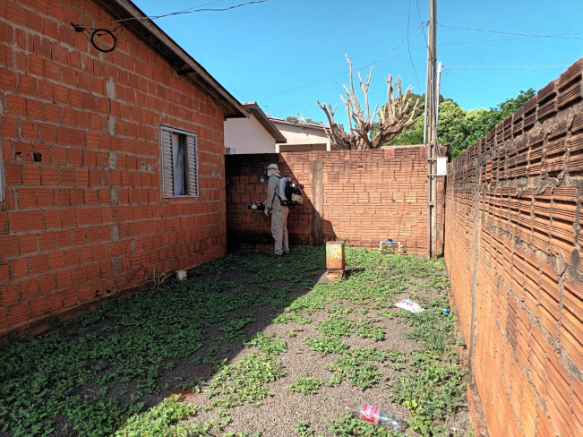 Prefeitura de Amambai intensifica combate à dengue e reforça alerta à população Prefeitura de Amambai intensifica combate à dengue e reforça alerta à população