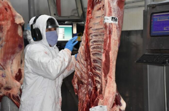 carne-exporta1-730x480