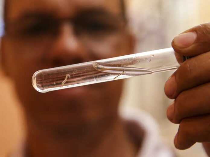dengue1