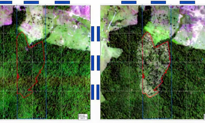 mapbiomas-reproducao_0