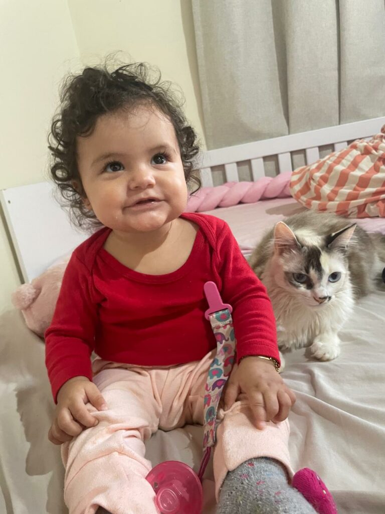 Encontrada - Procura-se gata desaparecida em Amambai Encontrada - Procura-se gata desaparecida em Amambai