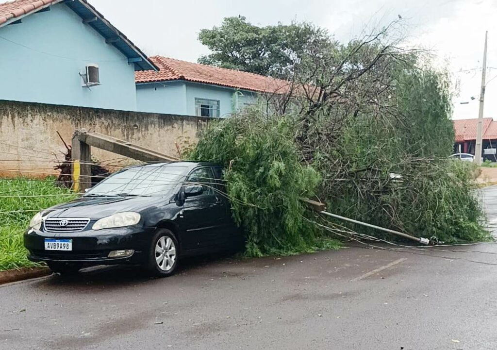Temporal derruba árvores e inclusive poste de energia sobre veículo em Amambai Temporal derruba árvores e inclusive poste de energia sobre veículo em Amambai